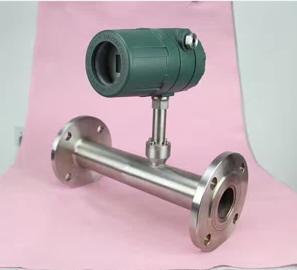 Thermal gas mass flow meter for H2S gas