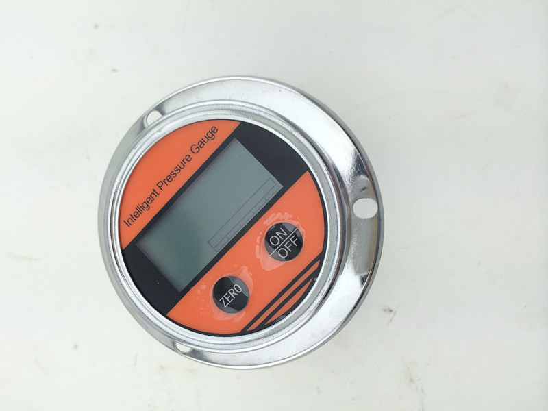 Panel mounting digital pressure gauge with 1/4BSP connection